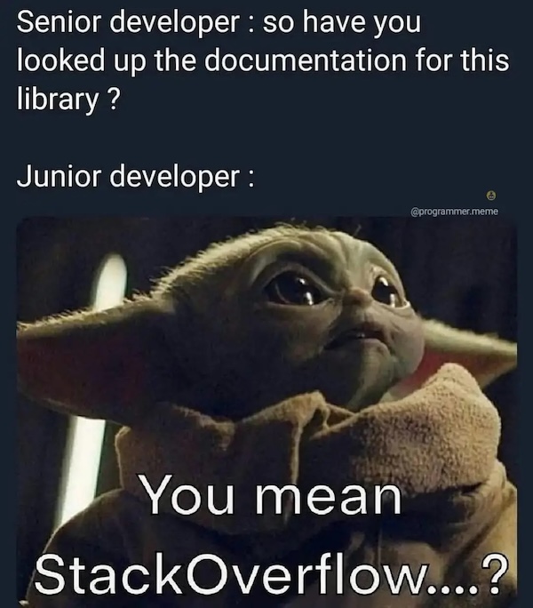 junior developer